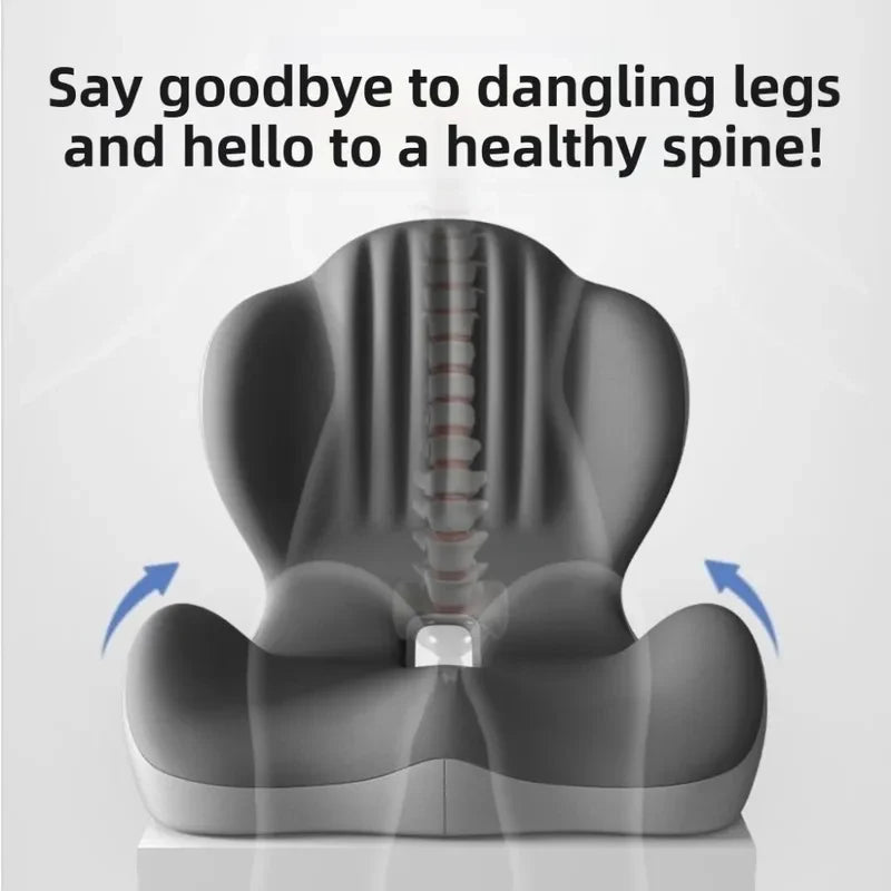 Ergonomic Seat Cushion with Lumbar Support